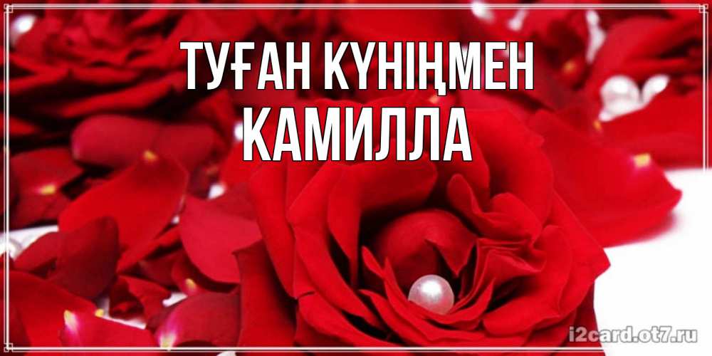 Күн сайын ашық хат с именем, Камилла Туған күніңмен роза с жемчужиной на открытке для любимых Онлайн тегін жүктеп алу тілектері бар керемет карта 