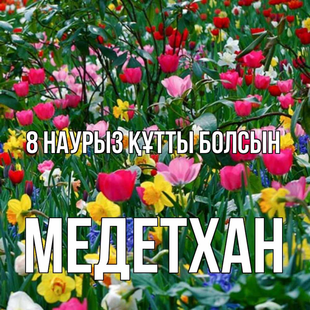 Күн сайын ашық хат с именем, МЕДЕТХАН 8 наурыз құтты болсын с международным женским днем поздравления для женщины Онлайн тегін жүктеп алу тілектері бар керемет карта 
