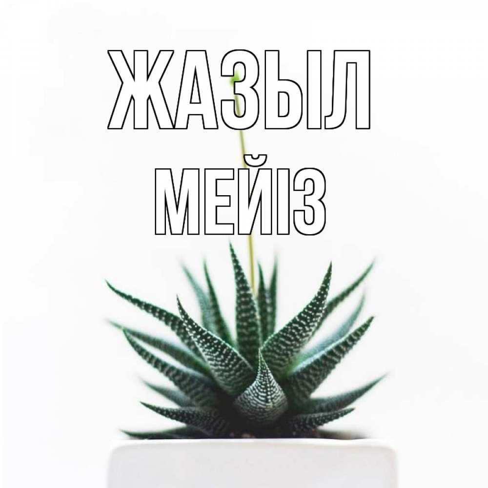 Күн сайын ашық хат с именем, МЕЙІЗ Жазыл короче это непонятная колючка Онлайн тегін жүктеп алу тілектері бар керемет карта 