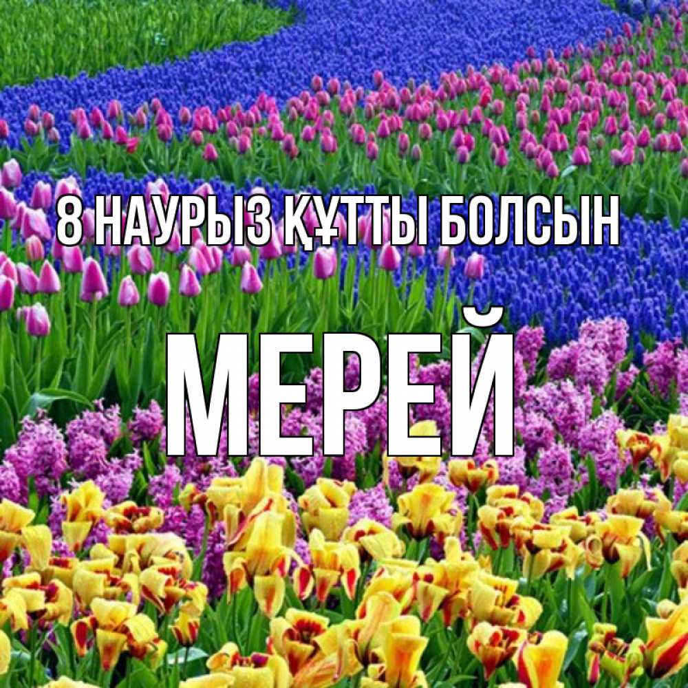 Күн сайын ашық хат с именем, МЕРЕЙ 8 наурыз құтты болсын цветы Онлайн тегін жүктеп алу тілектері бар керемет карта 
