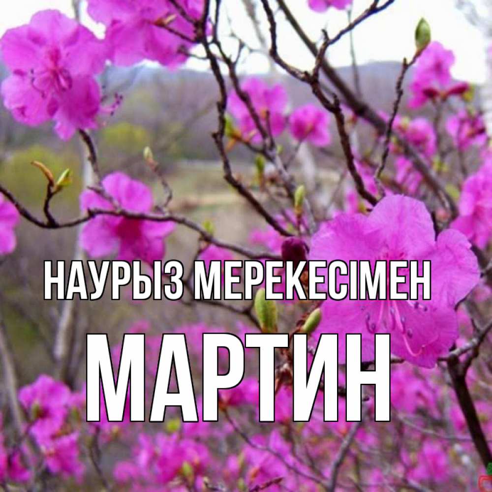 Күн сайын ашық хат с именем, Мартин Наурыз мерекесімен праздник весны наурыз Онлайн тегін жүктеп алу тілектері бар керемет карта 