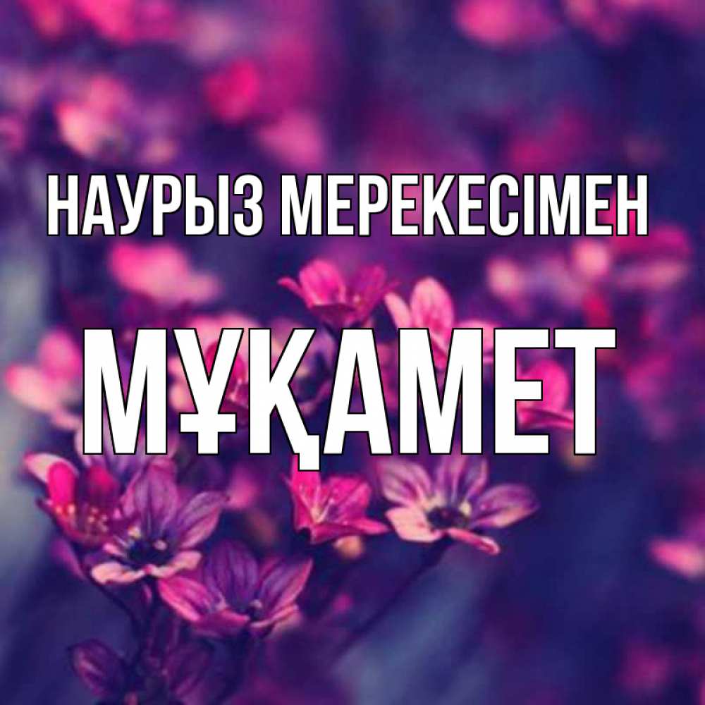 Күн сайын ашық хат с именем, МҰҚАМЕТ Наурыз мерекесімен небольшие цветы 1 Онлайн тегін жүктеп алу тілектері бар керемет карта 