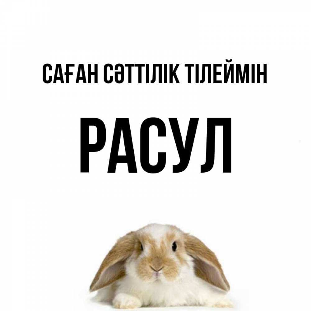 Күн сайын ашық хат с именем, РАСУЛ Саған сәттілік тілеймін открытки с произвольным текстом который можно вставить в открытку и создать ее самостоятельно бесплатно онлайн Онлайн тегін жүктеп алу тілектері бар керемет карта 