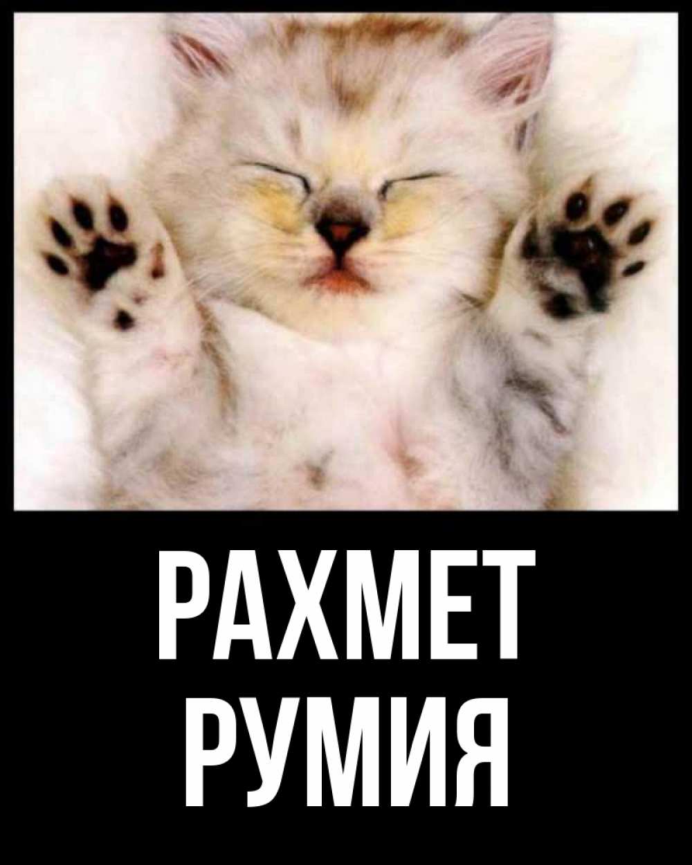 Күн сайын ашық хат с именем, Румия рахмет маленький котенок Онлайн тегін жүктеп алу тілектері бар керемет карта 