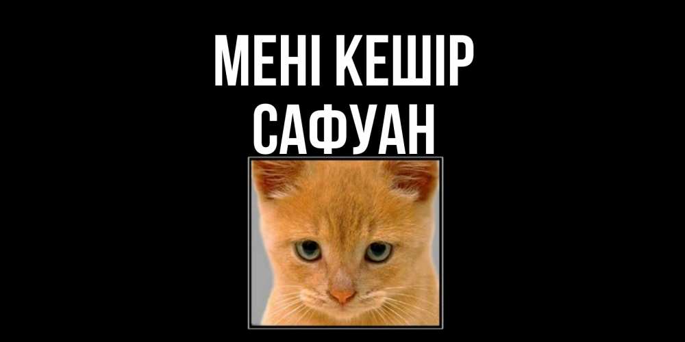 Күн сайын ашық хат с именем, САФУАН Мені кешір рыжий грустный кот просит прощения Онлайн тегін жүктеп алу тілектері бар керемет карта 
