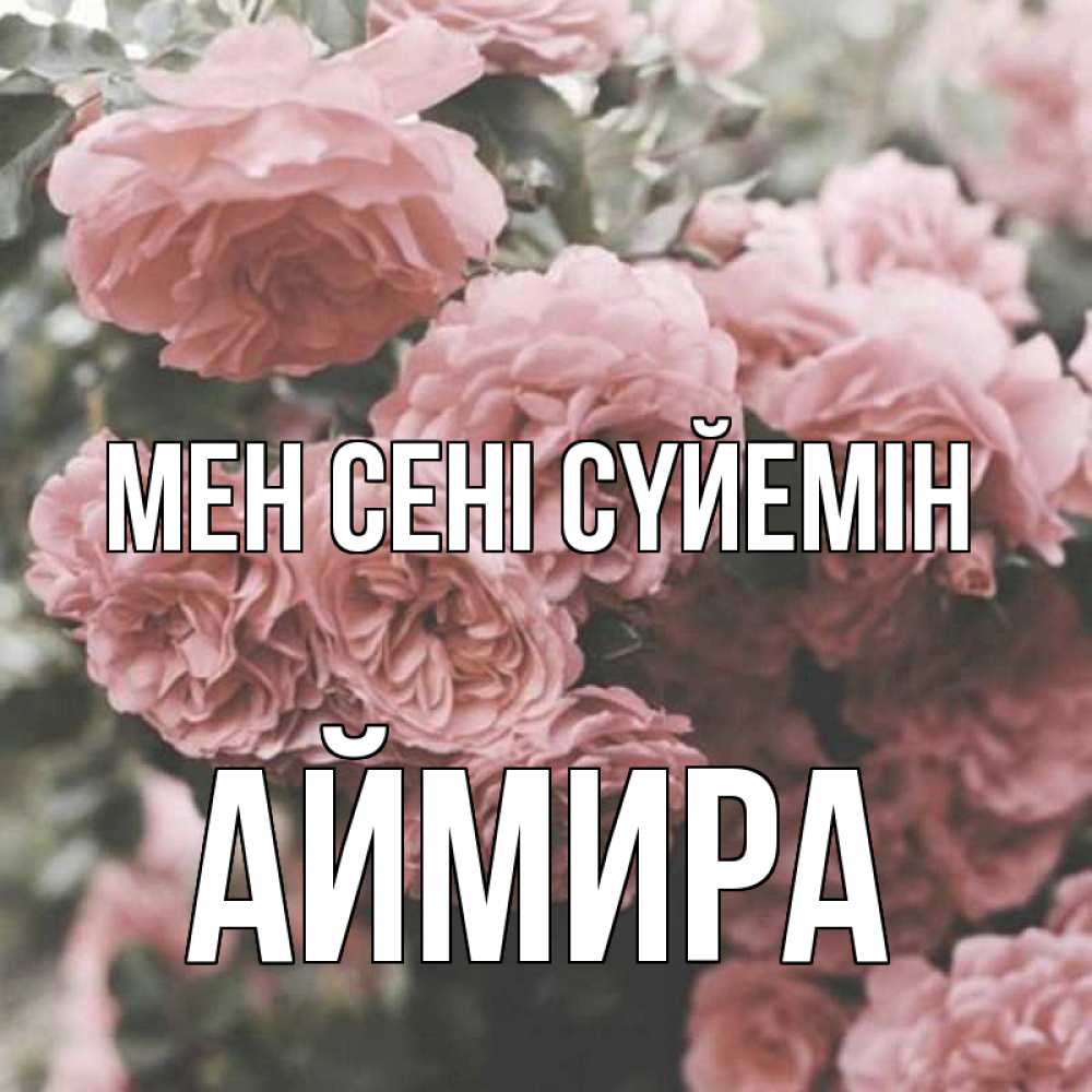 Күн сайын ашық хат с именем, АЙМИРА Мен сені сүйемін розы 3 Онлайн тегін жүктеп алу тілектері бар керемет карта 