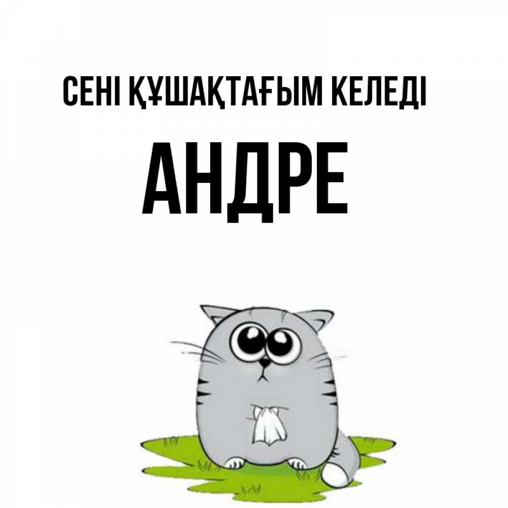 Күн сайын ашық хат с именем, Андре сені құшақтағым келеді котик теребит платочек сидя на травке Онлайн тегін жүктеп алу тілектері бар керемет карта 