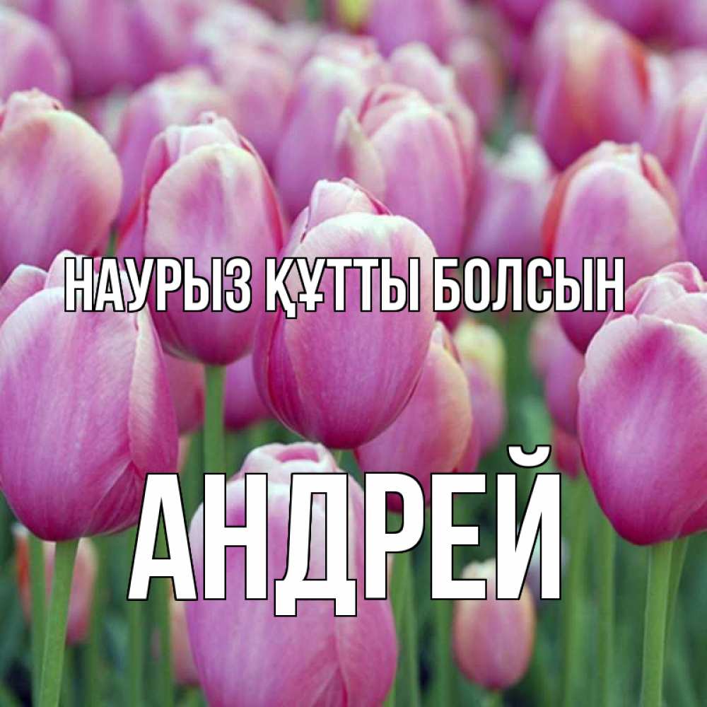 Күн сайын ашық хат с именем, Андрей Наурыз құтты болсын на наурыз  день 3 Онлайн тегін жүктеп алу тілектері бар керемет карта 