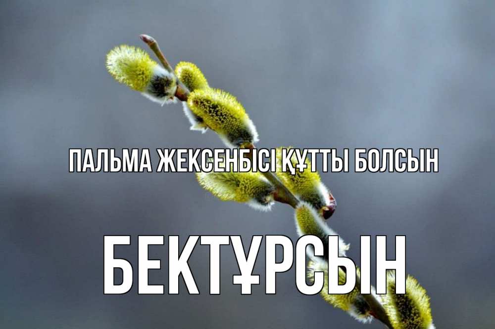 Күн сайын ашық хат с именем, Бектұрсын Пальма жексенбісі құтты болсын верба Онлайн тегін жүктеп алу тілектері бар керемет карта 