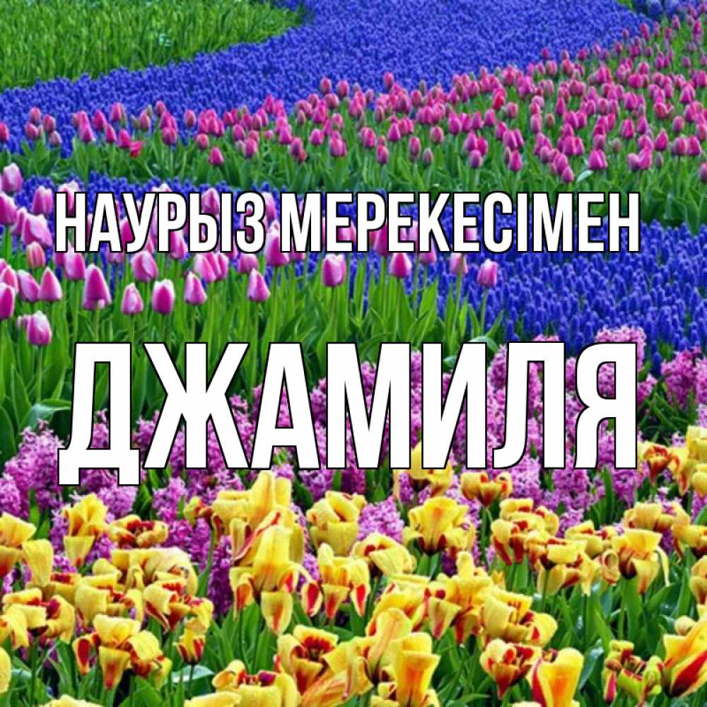 Күн сайын ашық хат с именем, Джамиля Наурыз мерекесімен цветы Онлайн тегін жүктеп алу тілектері бар керемет карта 