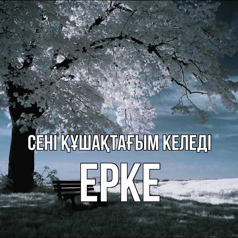 Күн сайын ашық хат с именем, ЕРКЕ сені құшақтағым келеді дерево Онлайн тегін жүктеп алу тілектері бар керемет карта 