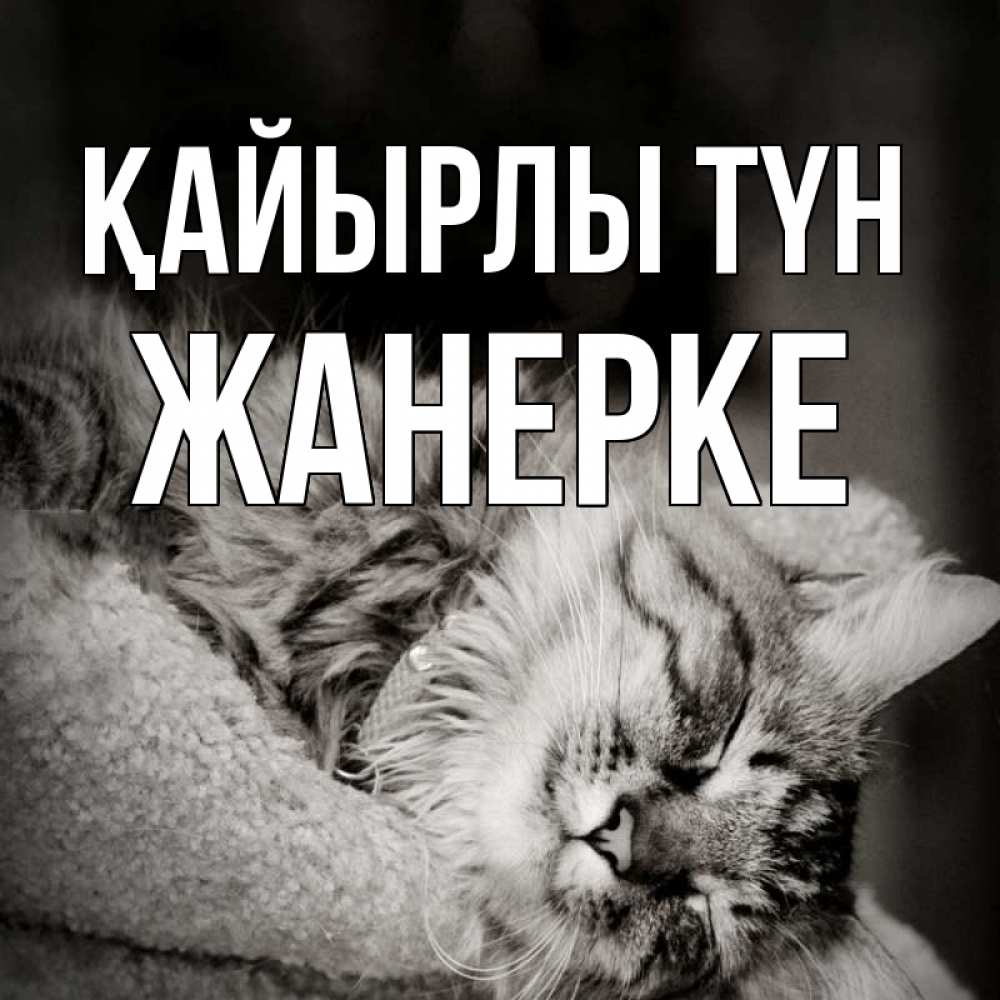 Күн сайын ашық хат с именем, ЖАНЕРКЕ Қайырлы түн котярик пушистый Онлайн тегін жүктеп алу тілектері бар керемет карта 