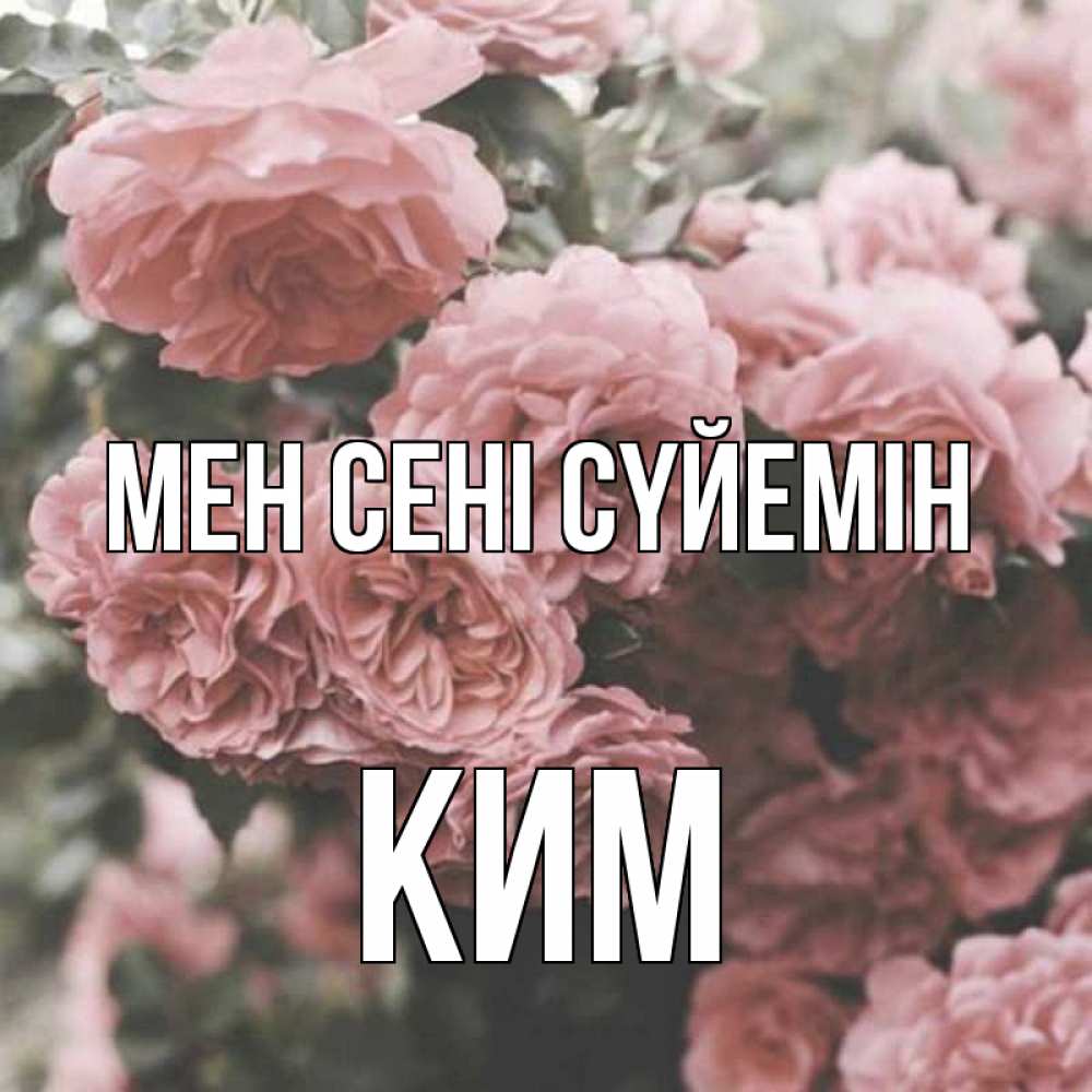 Күн сайын ашық хат с именем, Ким Мен сені сүйемін розы 3 Онлайн тегін жүктеп алу тілектері бар керемет карта 