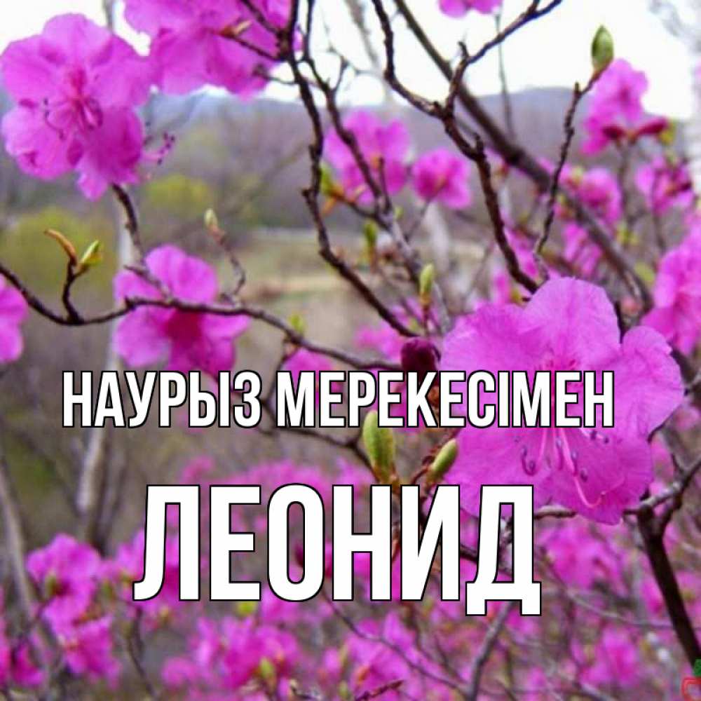 Күн сайын ашық хат с именем, Леонид Наурыз мерекесімен праздник весны наурыз Онлайн тегін жүктеп алу тілектері бар керемет карта 