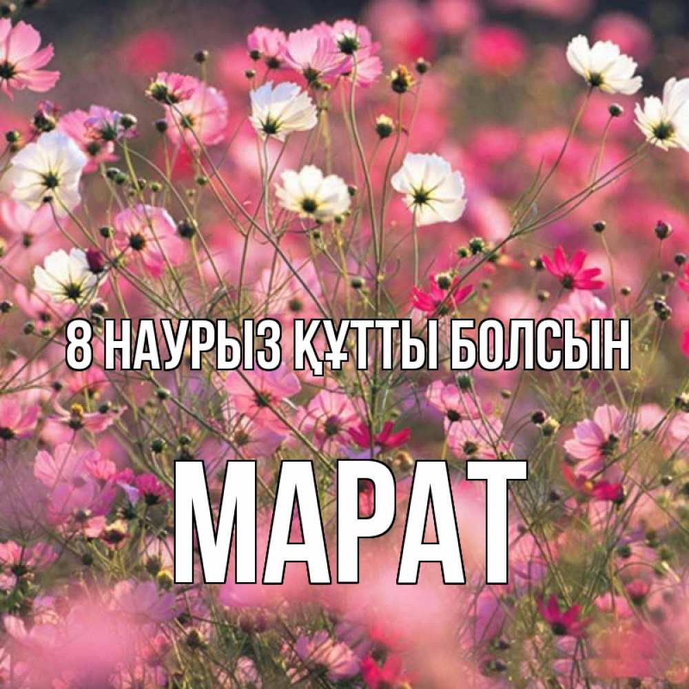 Күн сайын ашық хат с именем, МАРАТ 8 наурыз құтты болсын красиво 1 Онлайн тегін жүктеп алу тілектері бар керемет карта 