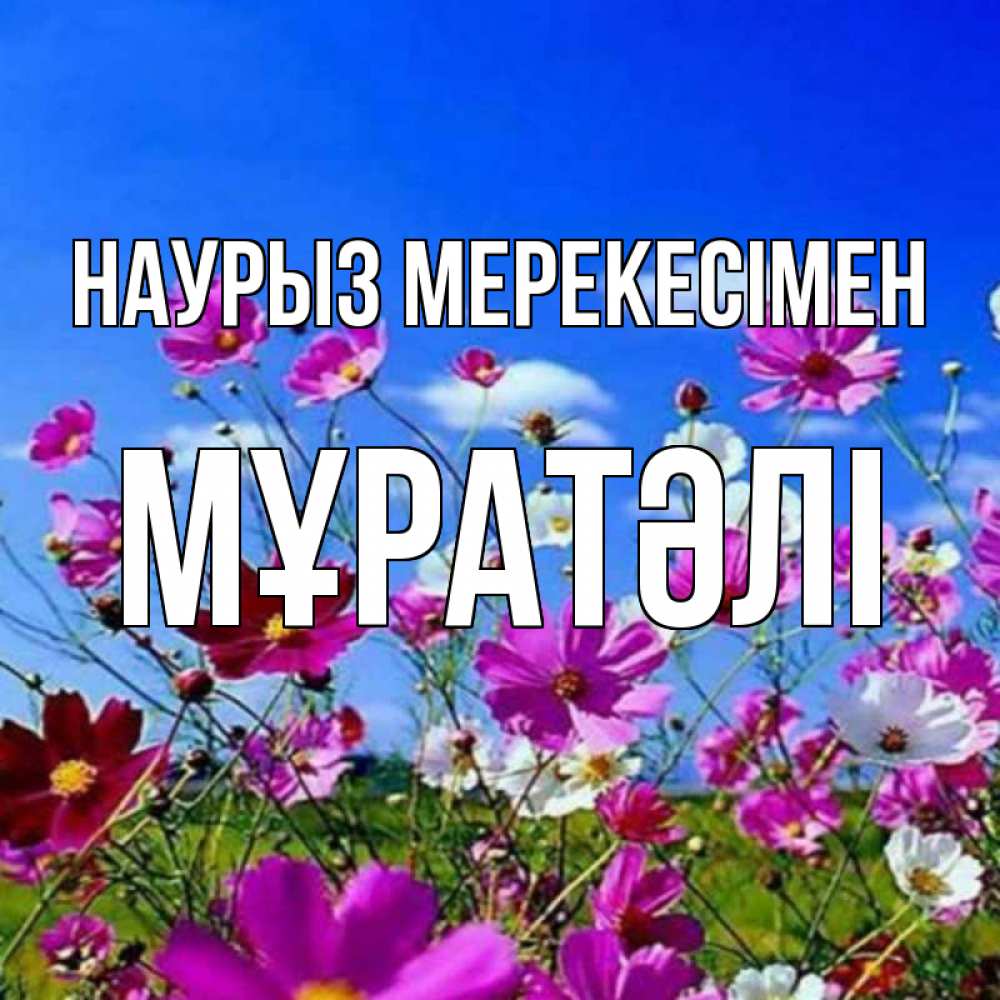 Күн сайын ашық хат с именем, Мұратәлі Наурыз мерекесімен цветы Онлайн тегін жүктеп алу тілектері бар керемет карта 