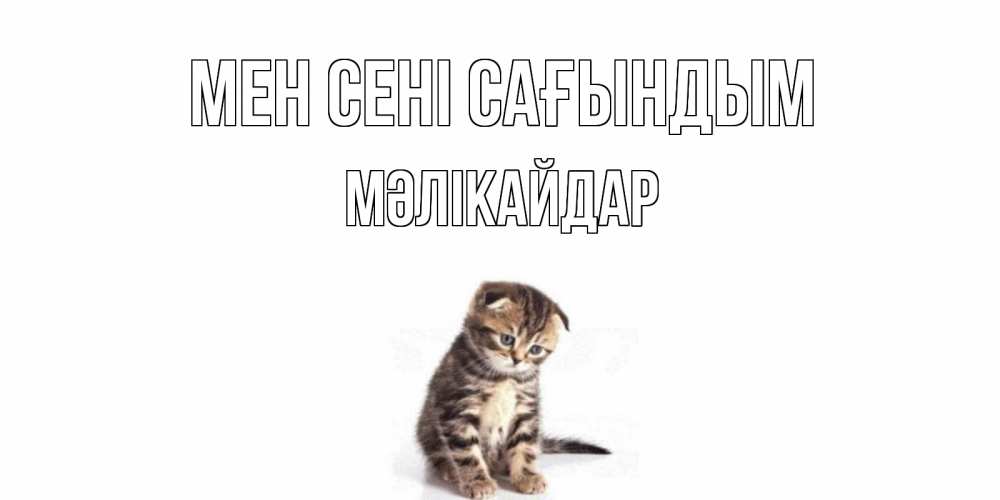 Күн сайын ашық хат с именем, МӘЛІКАЙДАР Мен сені сағындым кот Онлайн тегін жүктеп алу тілектері бар керемет карта 
