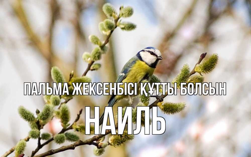 Күн сайын ашық хат с именем, Наиль Пальма жексенбісі құтты болсын верба Онлайн тегін жүктеп алу тілектері бар керемет карта 