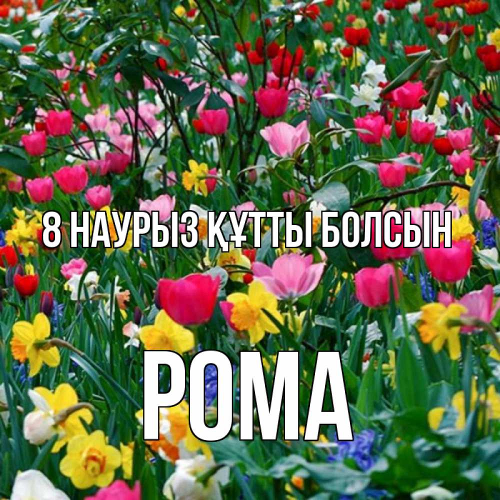 Күн сайын ашық хат с именем, Рома 8 наурыз құтты болсын с международным женским днем поздравления для женщины Онлайн тегін жүктеп алу тілектері бар керемет карта 