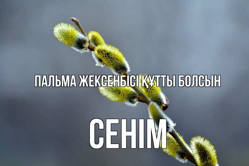 Күн сайын ашық хат с именем, СЕНІМ Пальма жексенбісі құтты болсын верба Онлайн тегін жүктеп алу тілектері бар керемет карта 