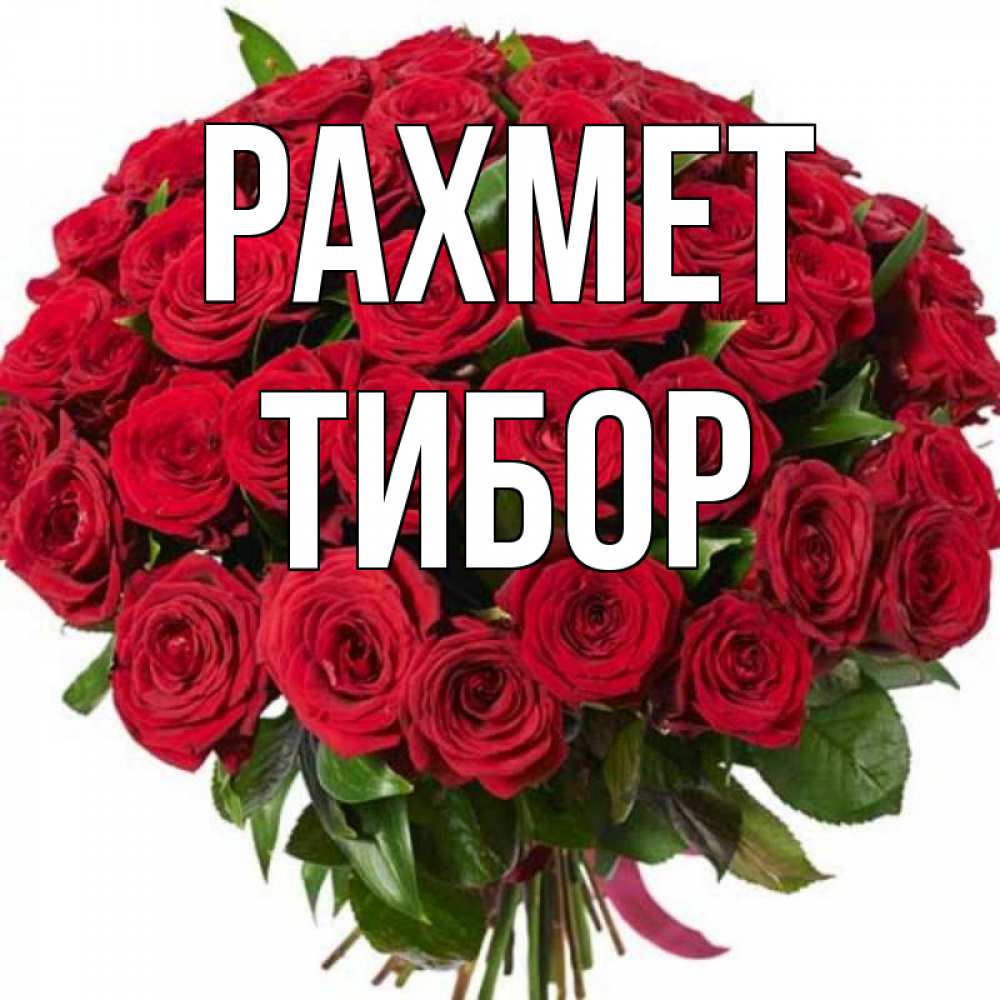 Күн сайын ашық хат с именем, Тибор рахмет букет красных роз Онлайн тегін жүктеп алу тілектері бар керемет карта 
