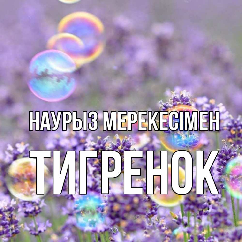 Күн сайын ашық хат с именем, Тигренок Наурыз мерекесімен цветы Онлайн тегін жүктеп алу тілектері бар керемет карта 