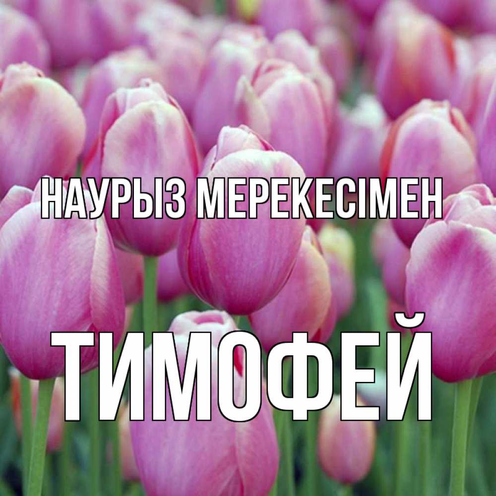 Күн сайын ашық хат с именем, Тимофей Наурыз мерекесімен праздник весны наурыз 69 Онлайн тегін жүктеп алу тілектері бар керемет карта 