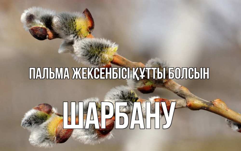 Күн сайын ашық хат с именем, ШАРБАНУ Пальма жексенбісі құтты болсын Верба Онлайн тегін жүктеп алу тілектері бар керемет карта 