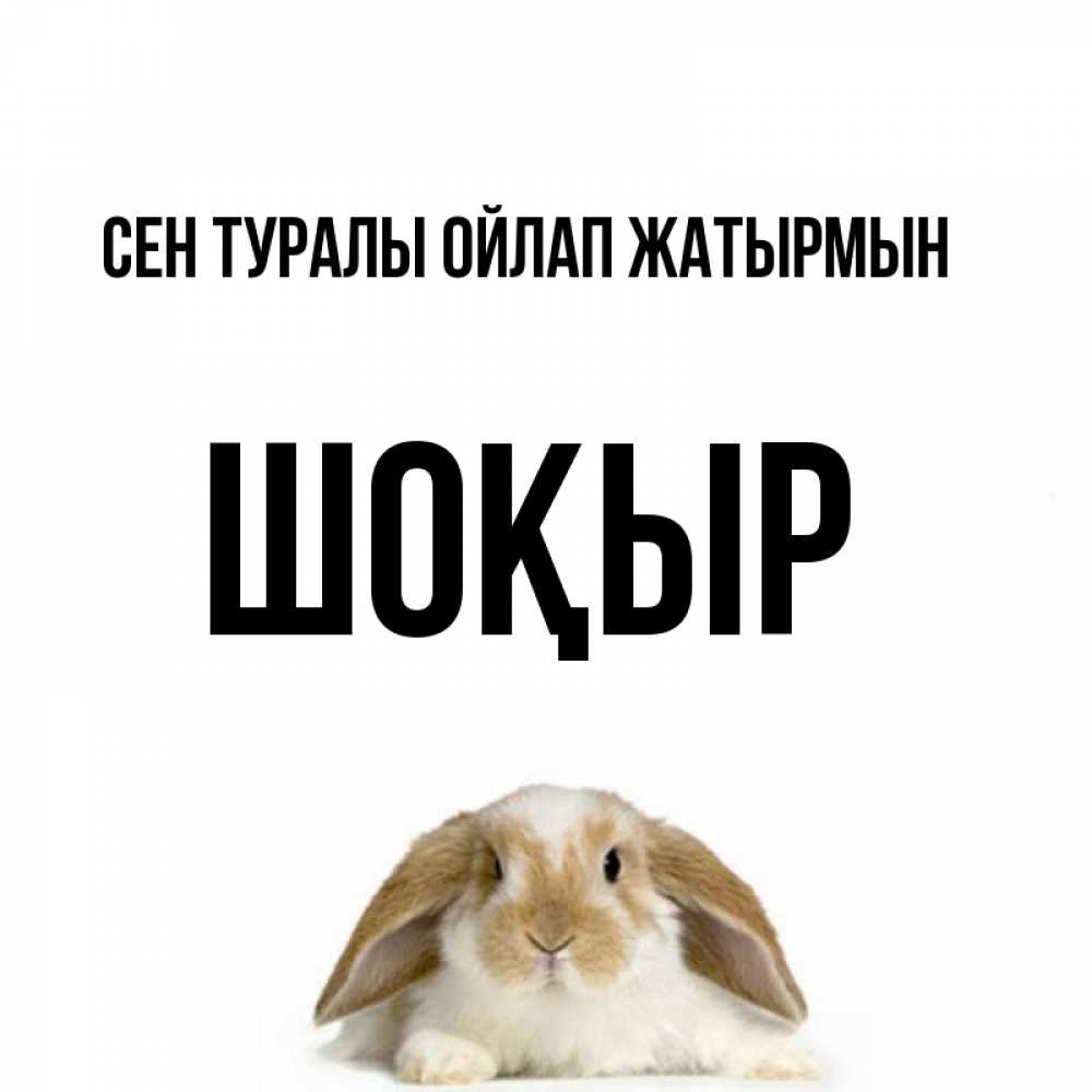 Күн сайын ашық хат с именем, ШОҚЫР Сен туралы ойлап жатырмын подписать своими руками онлайн Онлайн тегін жүктеп алу тілектері бар керемет карта 