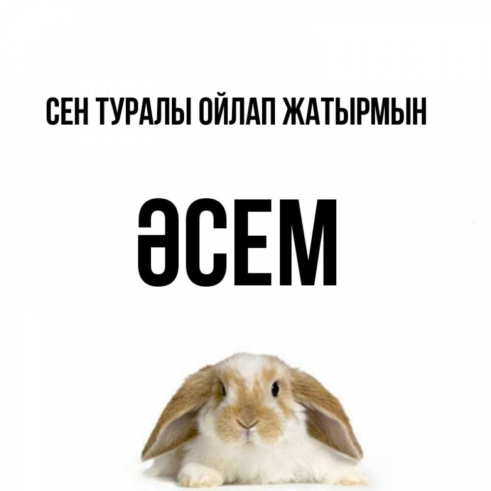 Күн сайын ашық хат с именем, ӘСЕМ Сен туралы ойлап жатырмын подписать своими руками онлайн Онлайн тегін жүктеп алу тілектері бар керемет карта 
