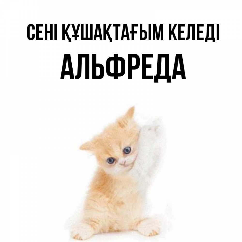 Күн сайын ашық хат с именем, Альфреда сені құшақтағым келеді я хочу очень скорее обнимаешек Онлайн тегін жүктеп алу тілектері бар керемет карта 