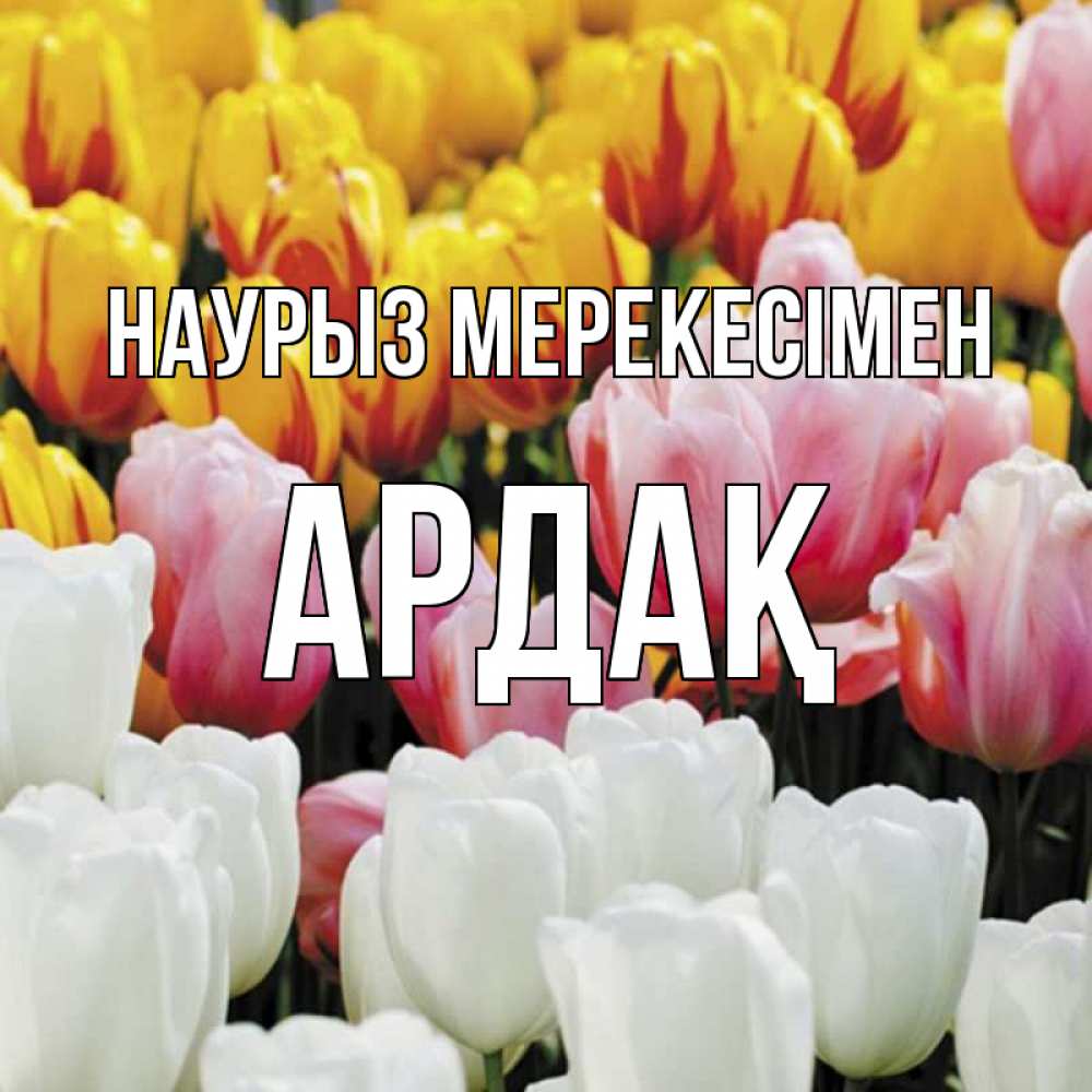 Күн сайын ашық хат с именем, Ардақ Наурыз мерекесімен разноцветные цветы Онлайн тегін жүктеп алу тілектері бар керемет карта 