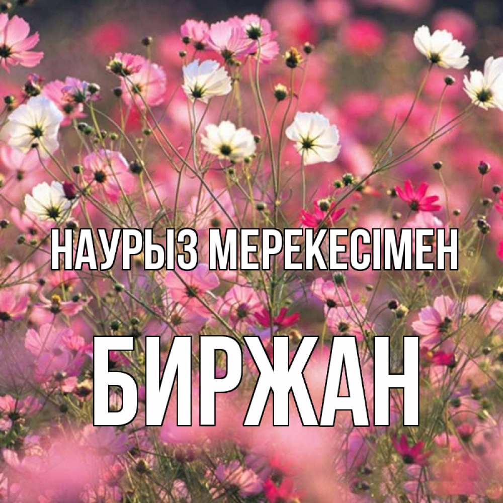 Күн сайын ашық хат с именем, Биржан Наурыз мерекесімен красиво 1 Онлайн тегін жүктеп алу тілектері бар керемет карта 