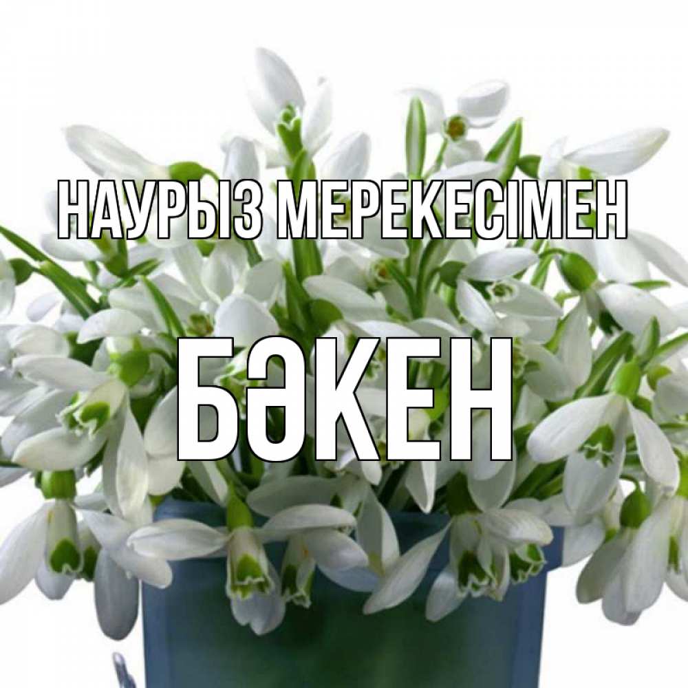Күн сайын ашық хат с именем, Бәкен Наурыз мерекесімен цветы к наурызу новый год в Казахстане Онлайн тегін жүктеп алу тілектері бар керемет карта 