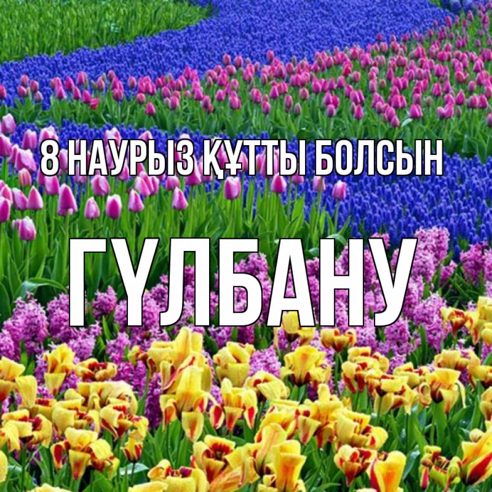 Күн сайын ашық хат с именем, ГҮЛБАНУ 8 наурыз құтты болсын цветы Онлайн тегін жүктеп алу тілектері бар керемет карта 