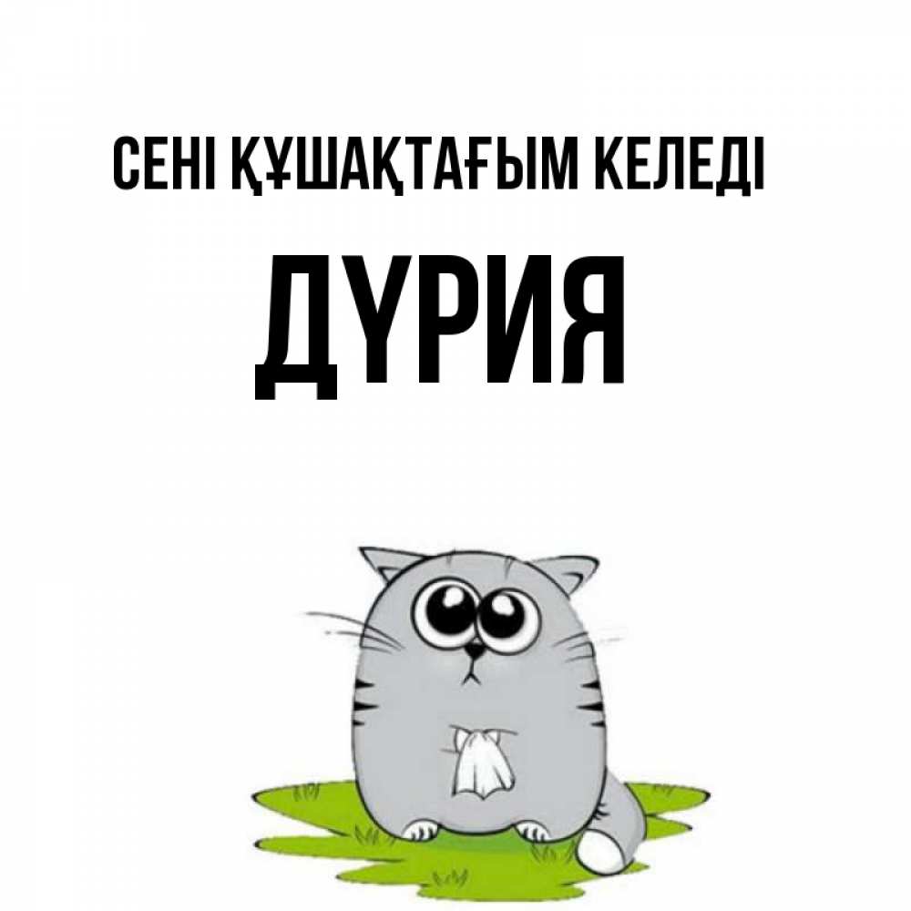 Күн сайын ашық хат с именем, ДҮРИЯ сені құшақтағым келеді котик теребит платочек сидя на травке Онлайн тегін жүктеп алу тілектері бар керемет карта 