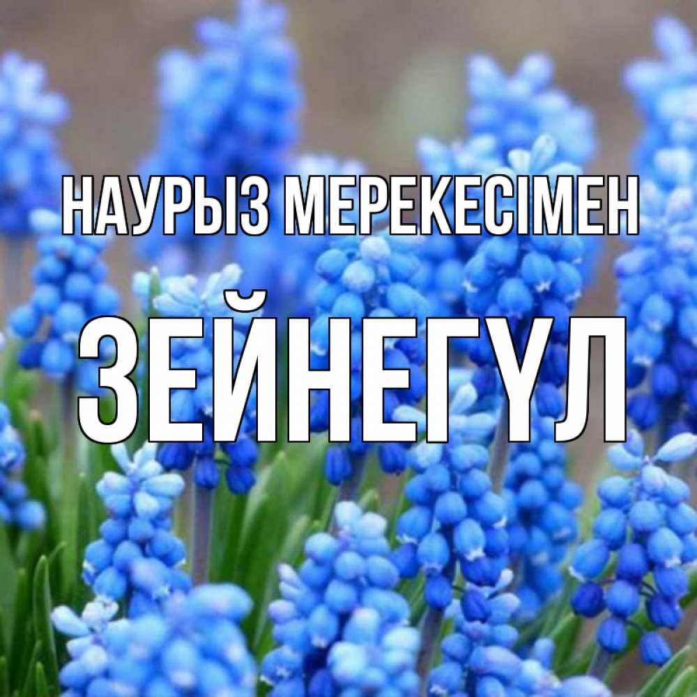 Күн сайын ашық хат с именем, ЗЕЙНЕГҮЛ Наурыз мерекесімен Поздравительная открытка для женщин с цветами на праздничную дату Онлайн тегін жүктеп алу тілектері бар керемет карта 