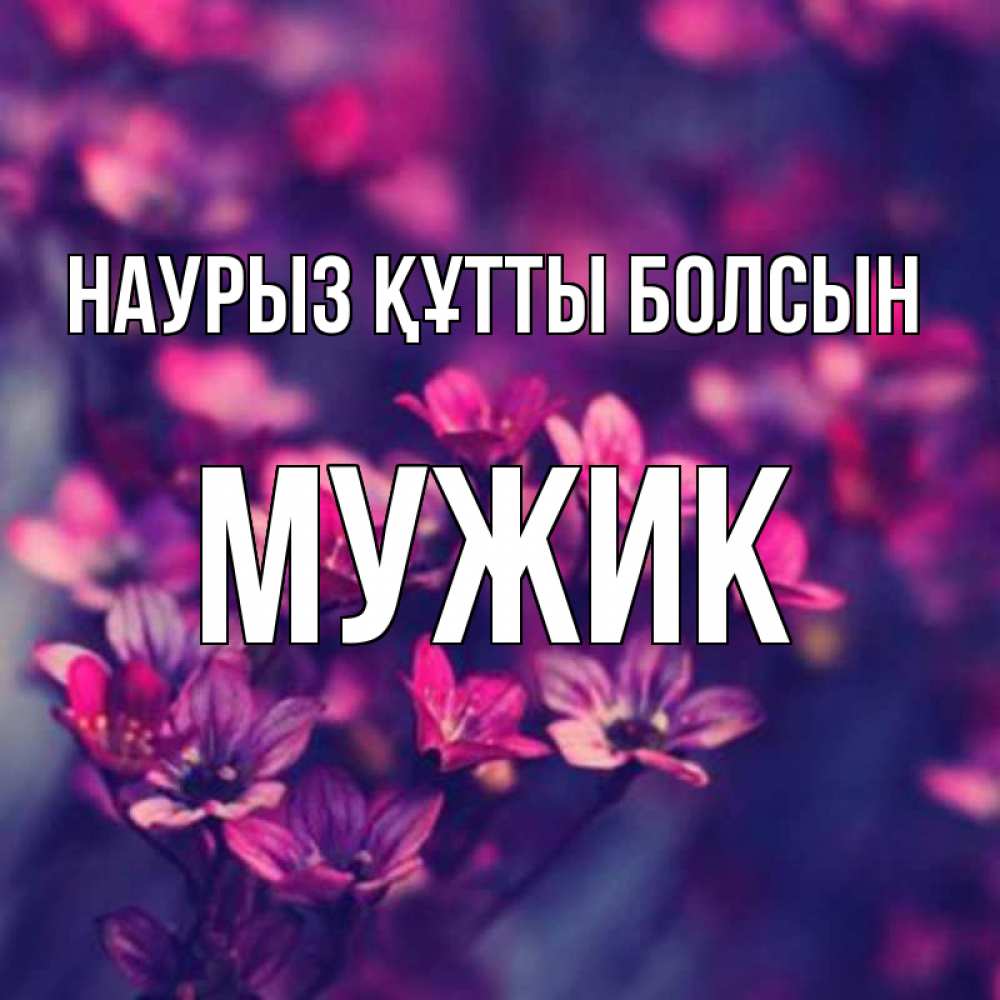 Күн сайын ашық хат с именем, Мужик Наурыз құтты болсын небольшие цветы 1 Онлайн тегін жүктеп алу тілектері бар керемет карта 