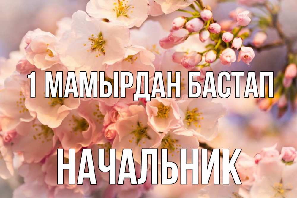 Күн сайын ашық хат с именем, Начальник 1 мамырдан бастап С 1 мая Онлайн тегін жүктеп алу тілектері бар керемет карта 