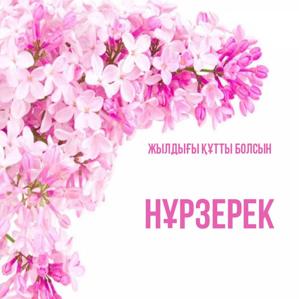Күн сайын ашық хат с именем, НҰРЗЕРЕК Жылдығы құтты болсын Сирень на белом фоне Онлайн тегін жүктеп алу тілектері бар керемет карта 