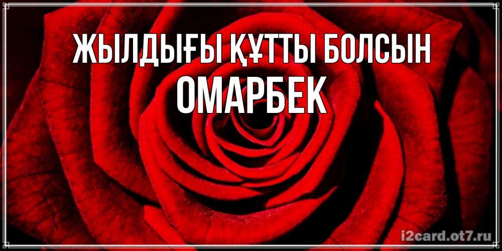 Күн сайын ашық хат с именем, ОМАРБЕК Жылдығы құтты болсын алая роза Онлайн тегін жүктеп алу тілектері бар керемет карта 