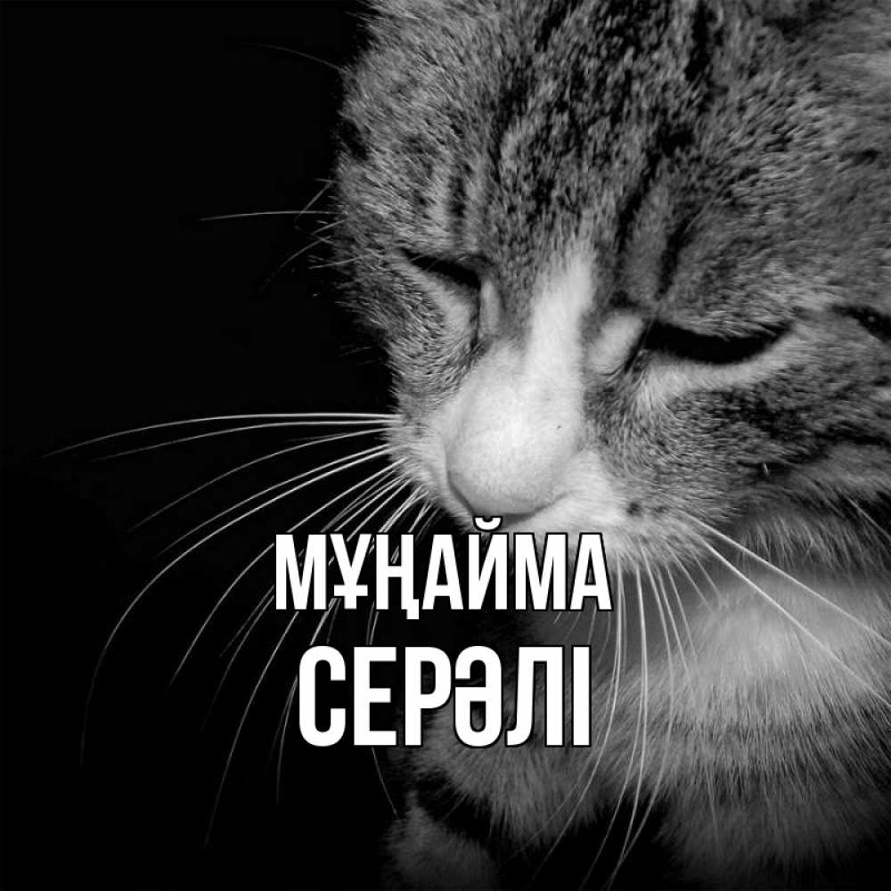 Күн сайын ашық хат с именем, СЕРӘЛІ Мұңайма грустный котик Онлайн тегін жүктеп алу тілектері бар керемет карта 