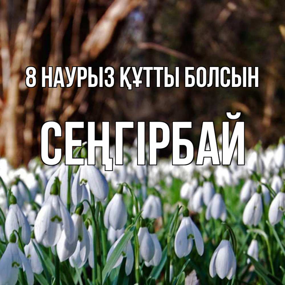 Күн сайын ашық хат с именем, СЕҢГІРБАЙ 8 наурыз құтты болсын с подснежниками 1 Онлайн тегін жүктеп алу тілектері бар керемет карта 