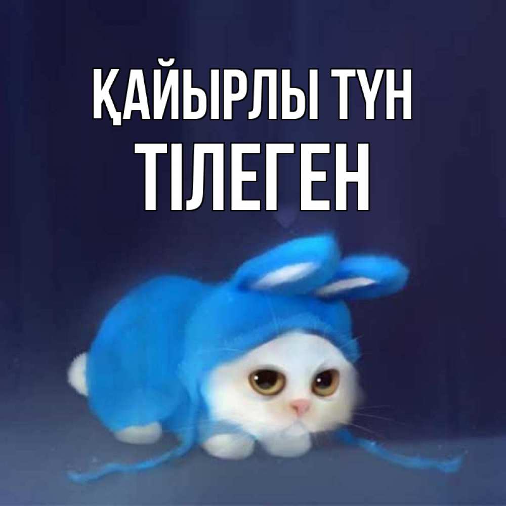 Күн сайын ашық хат с именем, ТІЛЕГЕН Қайырлы түн кот в голубом костюме кролика с ушками Онлайн тегін жүктеп алу тілектері бар керемет карта 