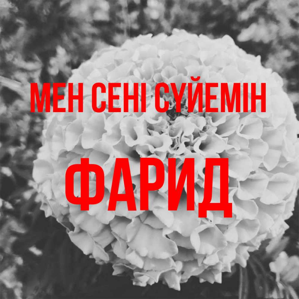 Күн сайын ашық хат с именем, ФАРИД Мен сені сүйемін подпись Онлайн тегін жүктеп алу тілектері бар керемет карта 