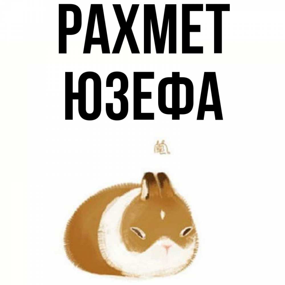 Күн сайын ашық хат с именем, Юзефа рахмет коричнево белый домашний питомец Онлайн тегін жүктеп алу тілектері бар керемет карта 