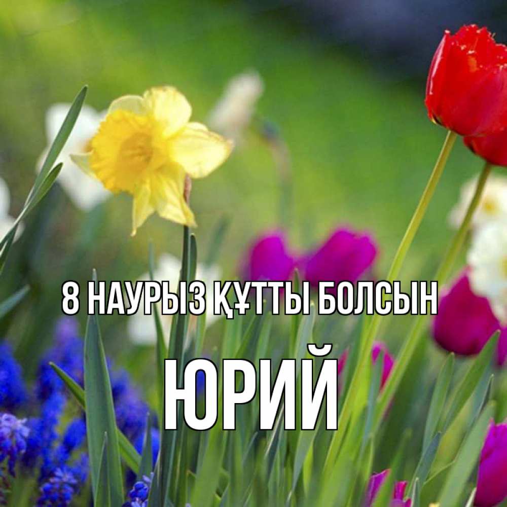 Күн сайын ашық хат с именем, Юрий 8 наурыз құтты болсын международный женский день 3 Онлайн тегін жүктеп алу тілектері бар керемет карта 