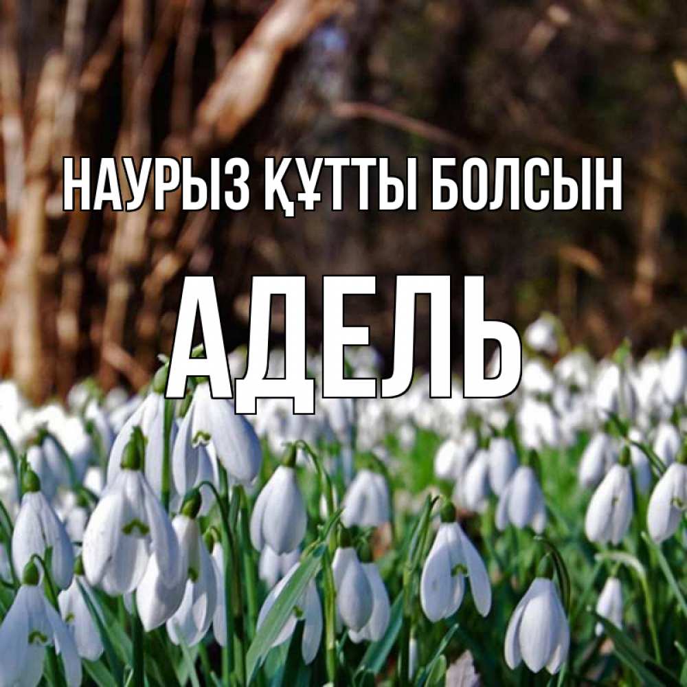 Күн сайын ашық хат с именем, Адель Наурыз құтты болсын с подснежниками 1 Онлайн тегін жүктеп алу тілектері бар керемет карта 