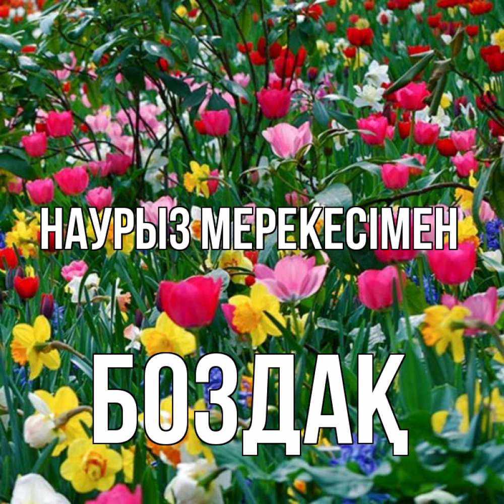 Күн сайын ашық хат с именем, Боздақ Наурыз мерекесімен с наурызом праздником весны поздравления для женщины Онлайн тегін жүктеп алу тілектері бар керемет карта 