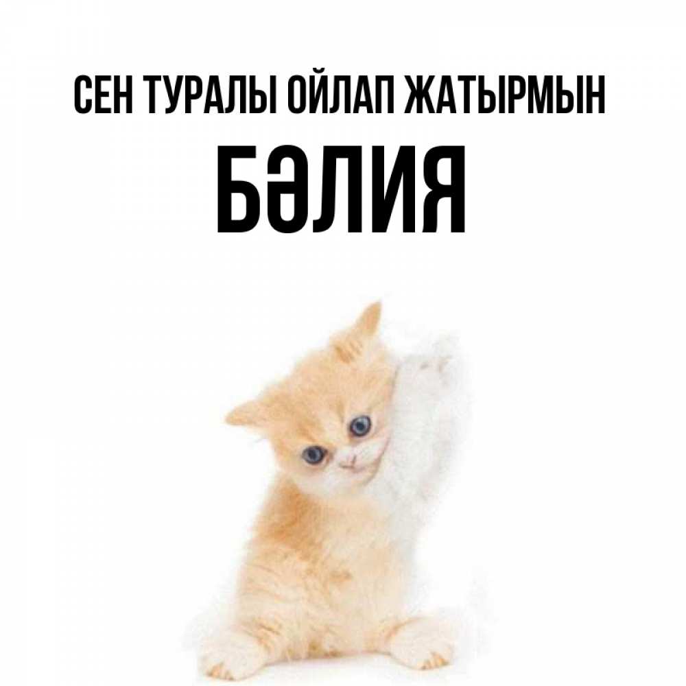 Күн сайын ашық хат с именем, БӘЛИЯ Сен туралы ойлап жатырмын зверушки и милота Онлайн тегін жүктеп алу тілектері бар керемет карта 